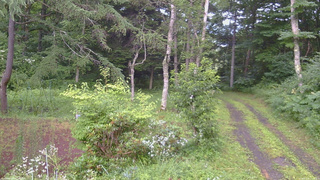 長野県菅平高原 ゆたか山荘 坂上 2026/07/28 17:45