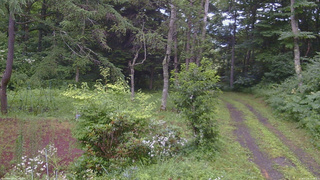 長野県菅平高原 ゆたか山荘 坂上 2026/07/28 18:00