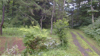 長野県菅平高原 ゆたか山荘 坂上 2026/07/28 18:15