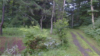 長野県菅平高原 ゆたか山荘 坂上 2026/07/28 18:45