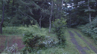 長野県菅平高原 ゆたか山荘 坂上 2026/07/28 19:00
