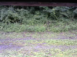 長野県菅平高原 ゆたか山荘 東側(坂下) 2026/07/29 13:30