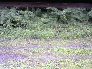 長野県菅平高原 ゆたか山荘 東側(坂下) 2026/07/29 14:45