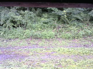 長野県菅平高原 ゆたか山荘 東側(坂下) 2026/07/29 16:15