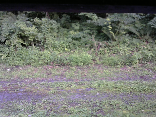 長野県菅平高原 ゆたか山荘 東側(坂下) 2026/07/29 18:15