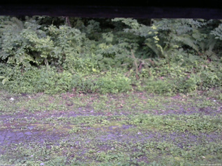 長野県菅平高原 ゆたか山荘 東側(坂下) 2026/07/29 18:30