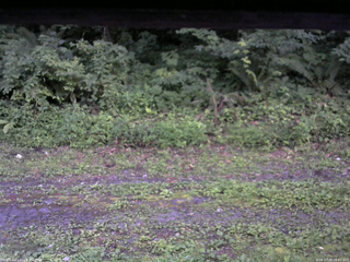 長野県菅平高原 ゆたか山荘 東側(坂下) 2026/07/29 18:45