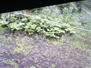 長野県菅平高原 ゆたか山荘 駐車場 2026/07/29 07:00