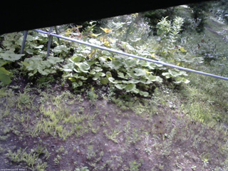 長野県菅平高原 ゆたか山荘 駐車場 2026/07/29 07:30