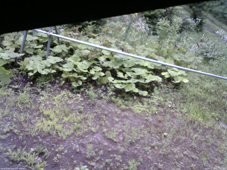 長野県菅平高原 ゆたか山荘 駐車場 2026/07/29 07:45