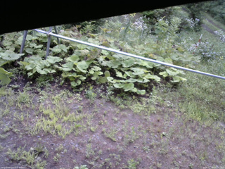 長野県菅平高原 ゆたか山荘 駐車場 2026/07/29 08:15