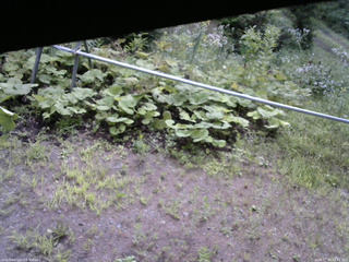 長野県菅平高原 ゆたか山荘 駐車場 2026/07/29 08:45