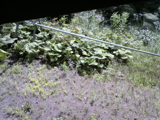 長野県菅平高原 ゆたか山荘 駐車場 2026/07/29 09:00