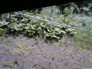 長野県菅平高原 ゆたか山荘 駐車場 2026/07/29 09:15
