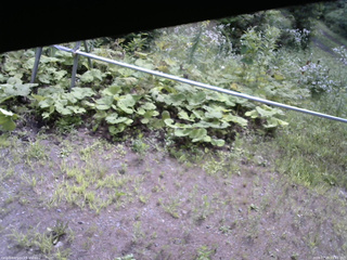 長野県菅平高原 ゆたか山荘 駐車場 2026/07/29 09:45