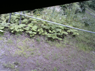 長野県菅平高原 ゆたか山荘 駐車場 2026/07/29 12:45