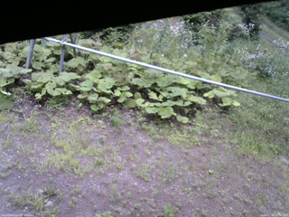 長野県菅平高原 ゆたか山荘 駐車場 2026/07/29 14:00