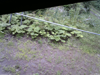 長野県菅平高原 ゆたか山荘 駐車場 2026/07/29 15:00