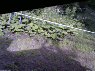 長野県菅平高原 ゆたか山荘 駐車場 2026/07/29 15:15