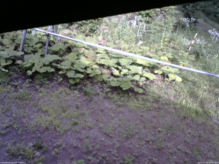 長野県菅平高原 ゆたか山荘 駐車場 2026/07/29 16:00