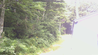 長野県菅平高原 ゆたか山荘 ゆたか山荘 2026/07/29 07:30