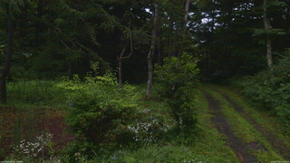 長野県菅平高原 ゆたか山荘 坂上 2026/07/29 05:00