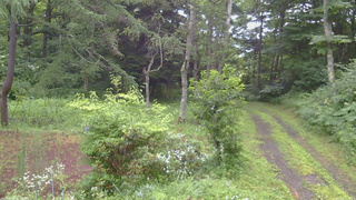 長野県菅平高原 ゆたか山荘 坂上 2026/07/29 05:15