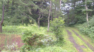 長野県菅平高原 ゆたか山荘 坂上 2026/07/29 05:45