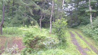 長野県菅平高原 ゆたか山荘 坂上 2026/07/29 06:00