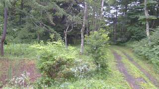長野県菅平高原 ゆたか山荘 坂上 2026/07/29 06:15