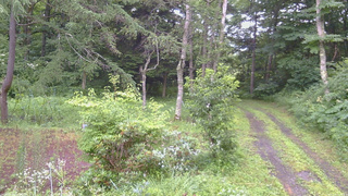長野県菅平高原 ゆたか山荘 坂上 2026/07/29 06:30