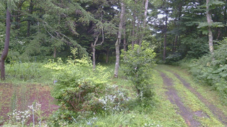 長野県菅平高原 ゆたか山荘 坂上 2026/07/29 06:45