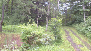 長野県菅平高原 ゆたか山荘 坂上 2026/07/29 07:00