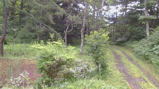 長野県菅平高原 ゆたか山荘 坂上 2026/07/29 07:15