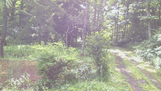 長野県菅平高原 ゆたか山荘 坂上 2026/07/29 07:30