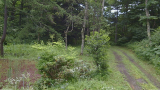 長野県菅平高原 ゆたか山荘 坂上 2026/07/29 07:45
