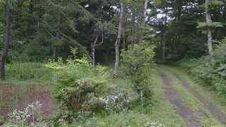 長野県菅平高原 ゆたか山荘 坂上 2026/07/29 08:15
