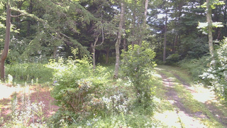長野県菅平高原 ゆたか山荘 坂上 2026/07/29 08:30