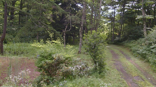 長野県菅平高原 ゆたか山荘 坂上 2026/07/29 08:45