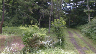 長野県菅平高原 ゆたか山荘 坂上 2026/07/29 09:15