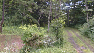 長野県菅平高原 ゆたか山荘 坂上 2026/07/29 09:45