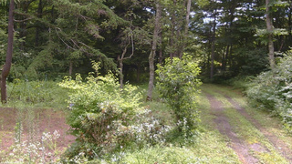 長野県菅平高原 ゆたか山荘 坂上 2026/07/29 10:00