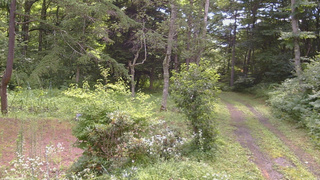 長野県菅平高原 ゆたか山荘 坂上 2026/07/29 10:15