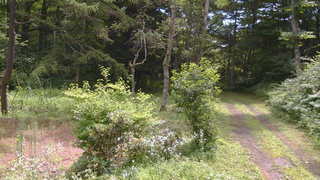 長野県菅平高原 ゆたか山荘 坂上 2026/07/29 10:30