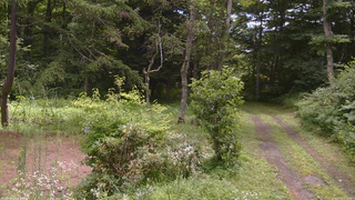 長野県菅平高原 ゆたか山荘 坂上 2026/07/29 10:45