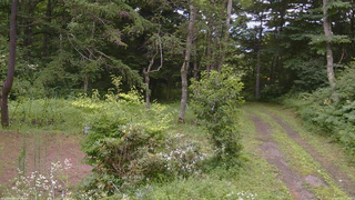 長野県菅平高原 ゆたか山荘 坂上 2026/07/29 11:15