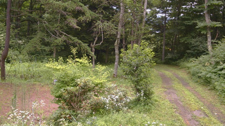 長野県菅平高原 ゆたか山荘 坂上 2026/07/29 11:30