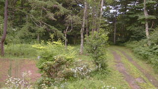 長野県菅平高原 ゆたか山荘 坂上 2026/07/29 12:00