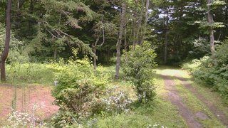 長野県菅平高原 ゆたか山荘 坂上 2026/07/29 12:15