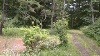 長野県菅平高原 ゆたか山荘 坂上 2026/07/29 12:45